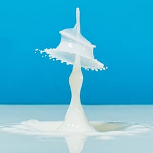 Composition du lait maternel, biochimie du lait maternel